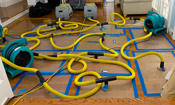 Professional Water Damage Restoration technician working in Wagener, SC